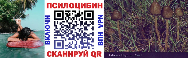 Галлюциногенные грибы Magic Shrooms купить цена Фёдоровский